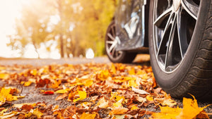 How to Wash Your Car In The Fall